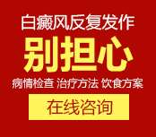 咨询